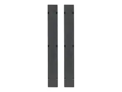 APC - Paneldekke for rackkabelstyring - svart 48U - TAA-samsvar (en pakke 2) - for NetShelter SX