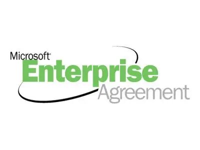 Microsoft Windows Server Datacenter Edition - Step-up lisens & pro...