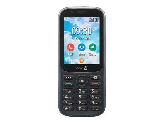 DORO 731X - Grå 1.3 GB