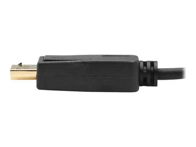 Eaton Tripp Lite Series USB-C to DisplayPort Bi-Directional Active...