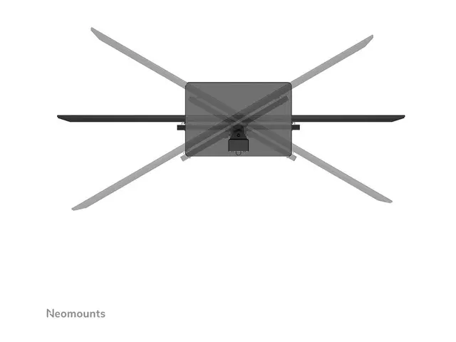 Neomounts DS45-430BL14 - Stativ for TV stål svart skjermstørrelse:...