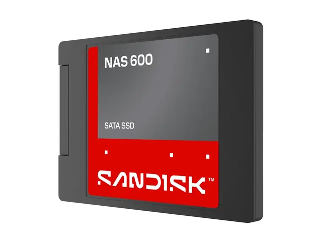 SanDisk NAS 600 - SSD - 500 GB - intern - 2.5" - SATA 6Gb/s