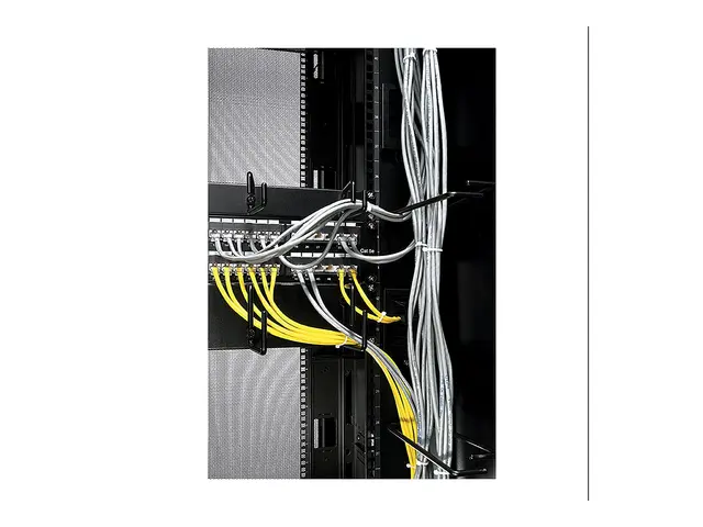 APC - Koststripepanel - for NetShelter SX