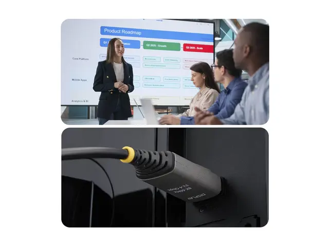 StarTech - DisplayPort-kabel - DisplayPort (hann) låst til Display...