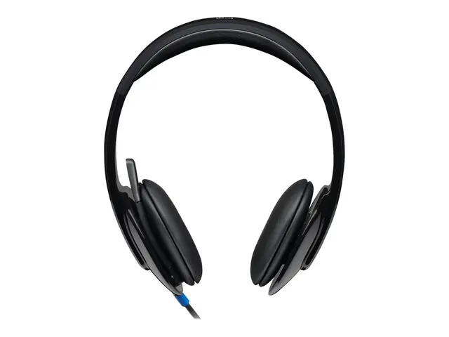 Logitech USB Headset H540 - Hodesett - on-ear - kablet