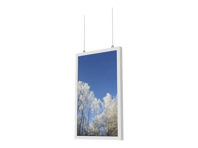 HI-ND Ceiling Solution - Monteringskomponent (hus) - for dobbeltsi...