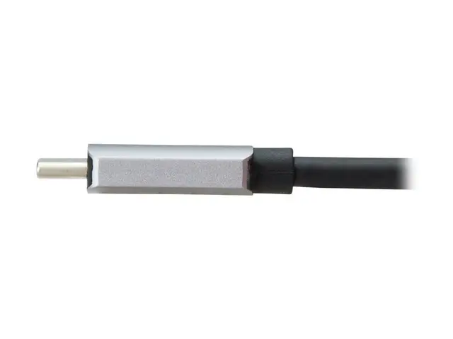 Eaton Tripp Lite Series USB-C to DisplayPort Active Adapter Cable ...