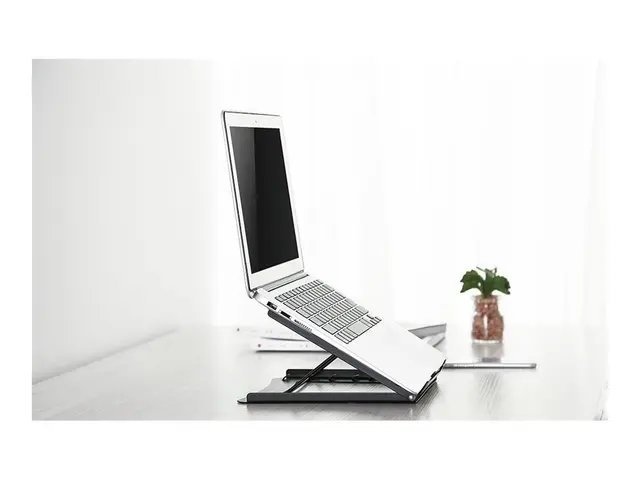 Neomounts NSLS075 - Stativ for notebook pulverbelagt stål svart sk...