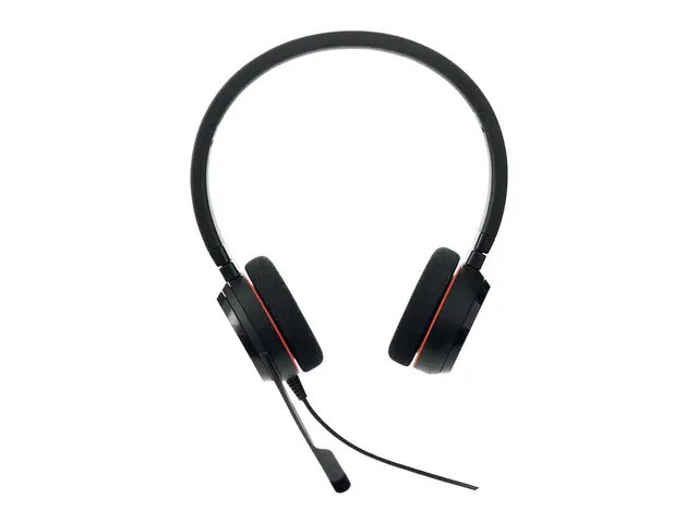 Jabra Evolve 20 MS stereo - Hodesett - on-ear - kablet - USB-C - l...
