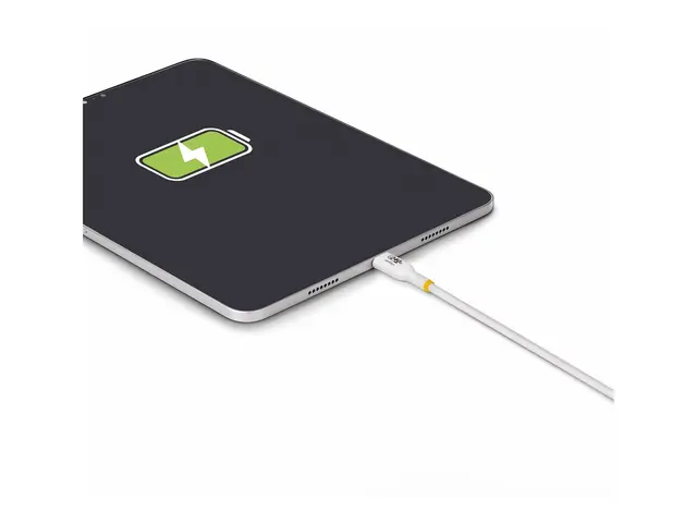 StarTech.com 4m USB C Charging Cable, USB-IF Certified USB-C 240W ...