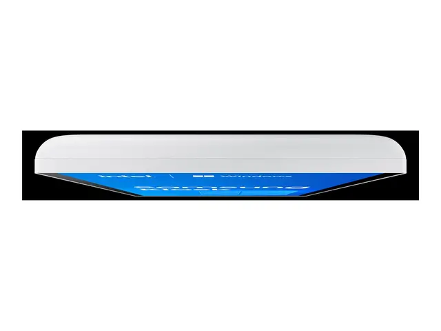 Samsung KM24C-C - Kiosk 1 x Celeron flash 256 GB Win 10 IoT Enterp...