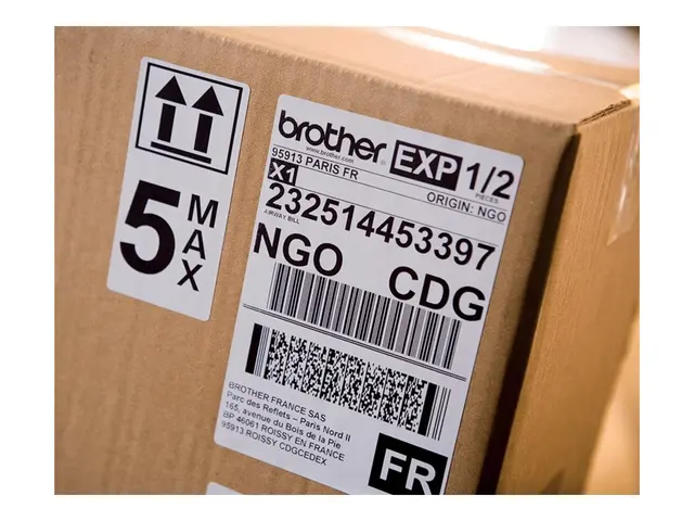 Brother QL-1100c - Etikettskriver direktetermisk Rull (10,36 cm) 3...