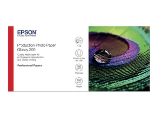 Epson Production - Polyetylen (PE) - blank mikroporøs - 200 mikroner - Rull (91,4 cm x 30 m) - 200 g/m² - 1 rull(er) fotopapir - for Stylus Pro 9890; SureColor P10000, P20000, SC-P10000, P20000, P8000, P9000, P9500, T7200
