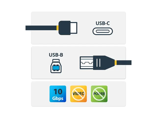 StarTech.com USB C to USB B Printer Cable - 1m / 3 ft - Superspeed...