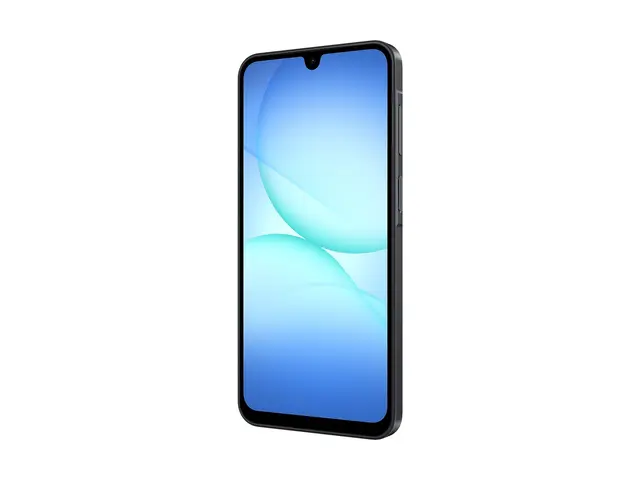 Samsung Galaxy A17 5G - Svart - 128 GB 