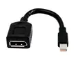 HP - DisplayPort-adapter - Mini DisplayPort (hann) til DisplayPort (hunn) for Elite 800 G9; Workstation Z2 G8, Z2 G9, Z4 G5, Z6 G5; ZBook Fury 15 G8, 16 G9, 17 G8