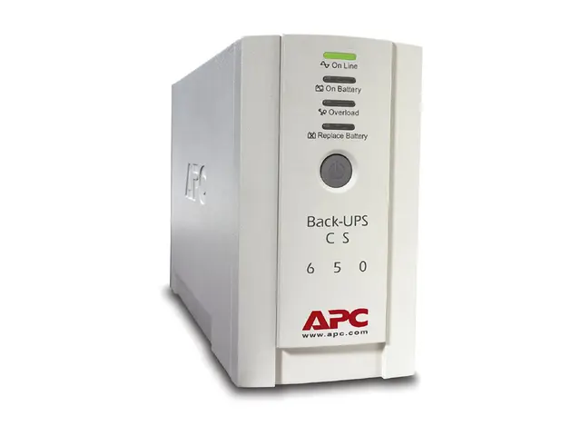 APC Back-UPS CS 650 - UPS - AC 230 V - 400 watt - 650 VA - RS-232,...