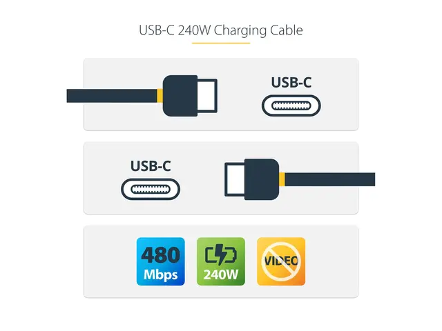 StarTech.com 4m USB C Charging Cable, USB-IF Certified USB-C 240W ...