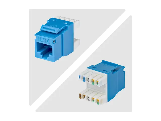 Startech - Trapes-jakk - 180°, 110 punch down - CAT 6 - UTP - RJ-4...