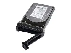 Dell - Harddisk - kryptert - 2.4 TB hot-swap - 2.5" i 3,5 tommer leder - SAS 12Gb/s - 10000 rpm - FIPS - Self-Encrypting Drive (SED) - for PowerEdge C6420 (2.5")