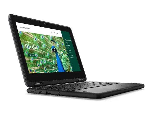 Dell Chromebook 3120 2in1 (2024) - 11.6" Intel N-series N100 4 GB ...