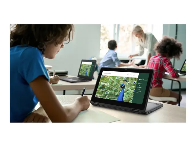 Dell Chromebook 3120 2in1 (2024) - 11.6" Intel N-series N100 4 GB ...