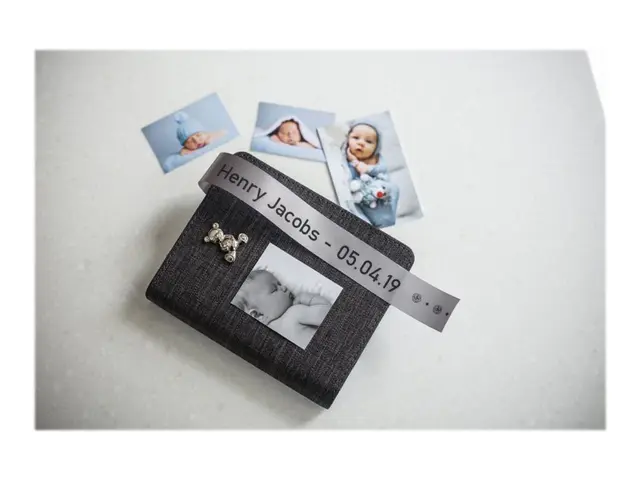 Brother TZe-R951 - Sateng - sort på sølv - Rull (2,4 cm x 4 m) 1 k...