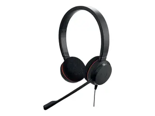 Jabra Evolve 20 MS stereo - Hodesett - on-ear kablet - USB-C - lydisolerende