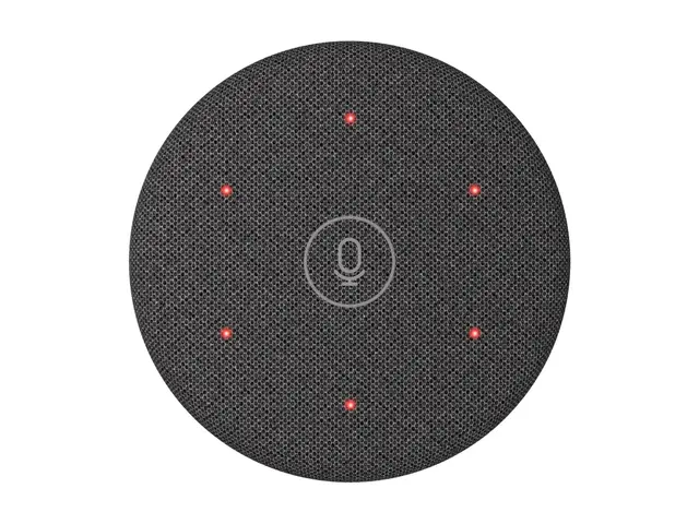 Logitech Rally Mic Pod 2 - Mikrofon - RJ-45 - grafitt