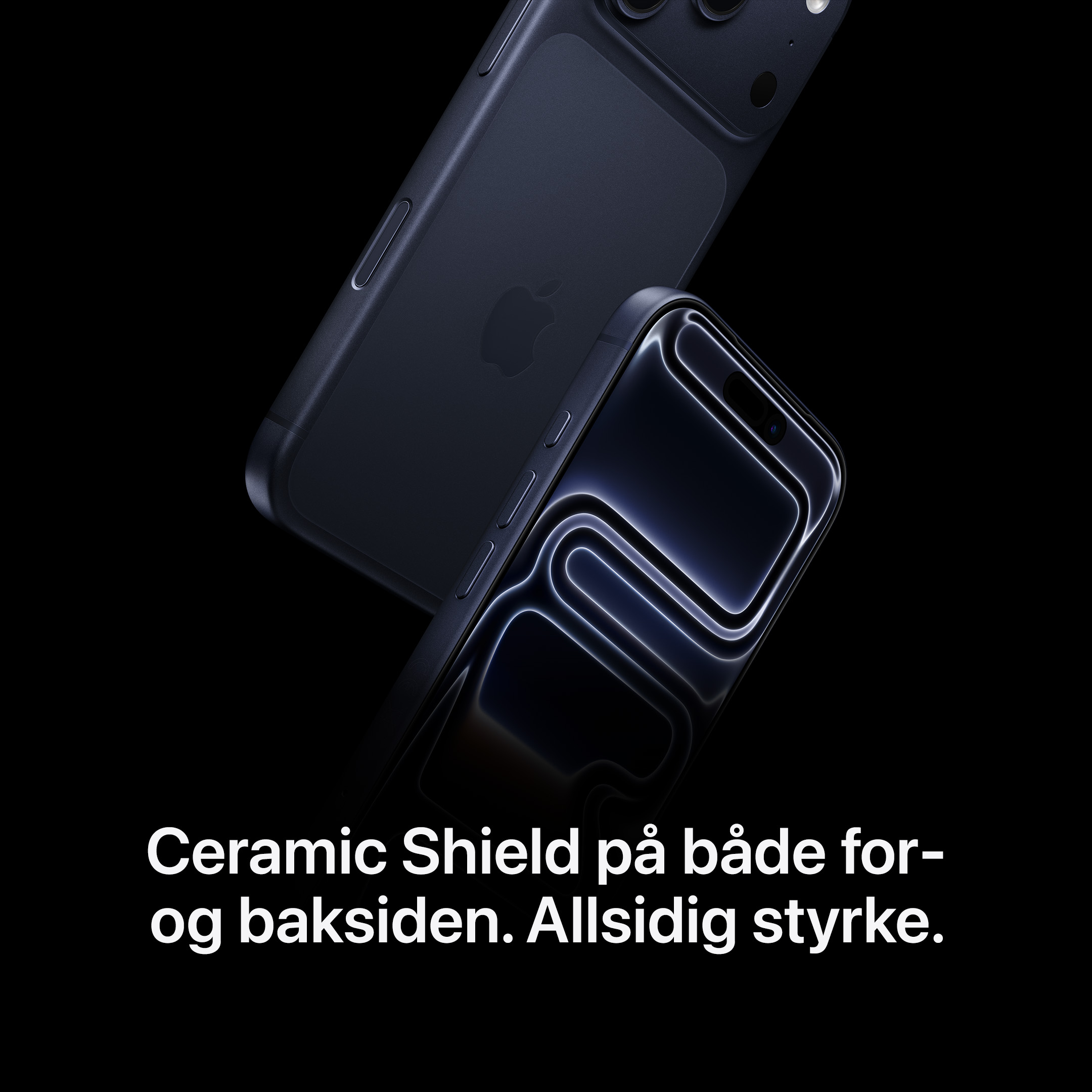 Ceramic Shield